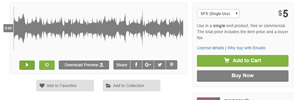 Ocean Sea Beach Ambience with Seagulls